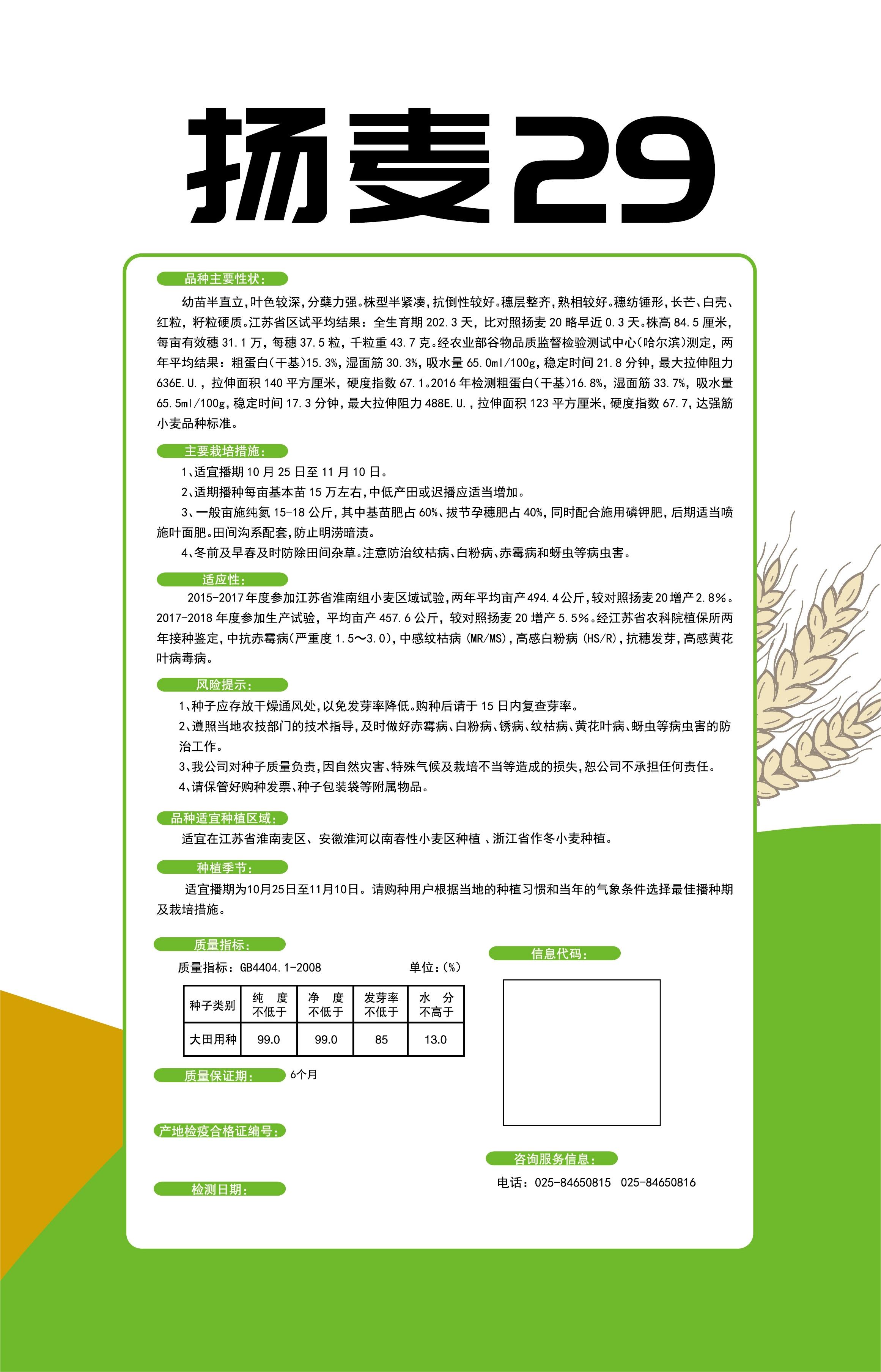 揚(yáng)麥29詳情頁.jpg